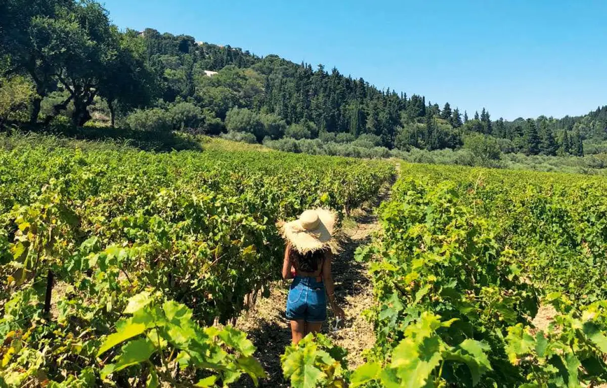 Zakynthos Tour By Bus